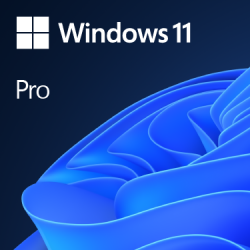 Microsoft Windows 11 Pro (ESD) (Perpetual)