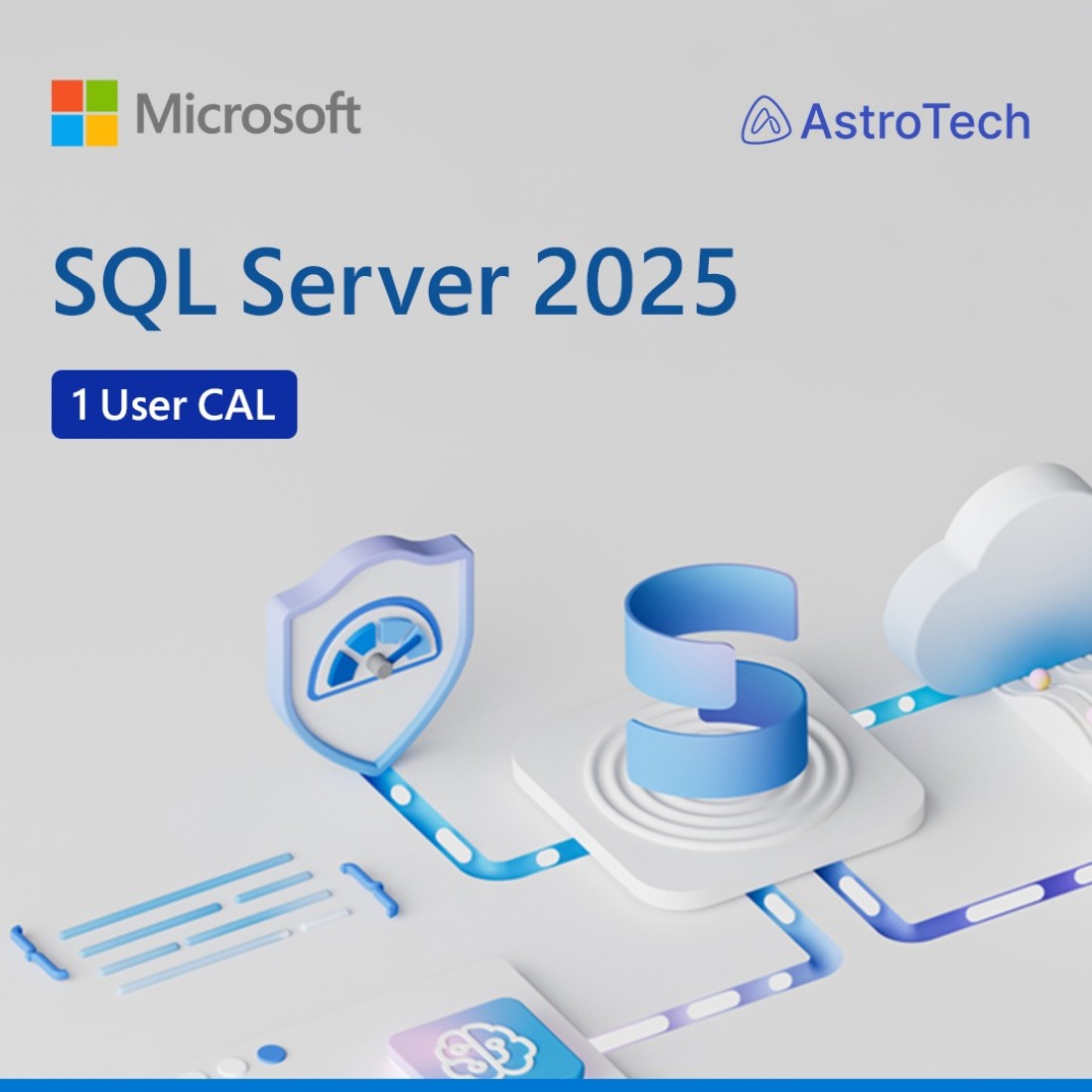 Microsoft SQL Server 2025 - 1 User CAL (CSP) (Perpetual)
