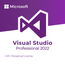 Microsoft Visual Studio Professional 2022 (Perpetual)