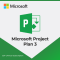 Microsoft Project Plan 3 Yearly