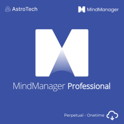 MindManager Professional - Perpetual