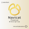 Navicat Premium Enterprise Edition