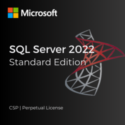 Microsoft SQL Server 2022 Standard Edition (CSP) (Perpetual)