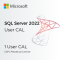 Microsoft SQL Server 2022 (1 User CAL License) (CSP) (Perpetual)