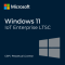 Microsoft Windows 11 IoT Enterprise LTSC 2024 (Perpetual)